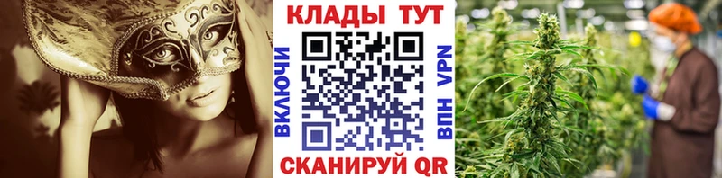 Купить закладку Бошки Шишки СК Cocaine ГАШИШ Меф Камышлов
